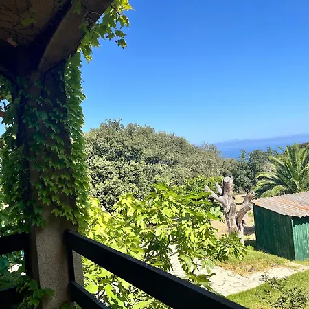 Проживание в семье Campuleccia *