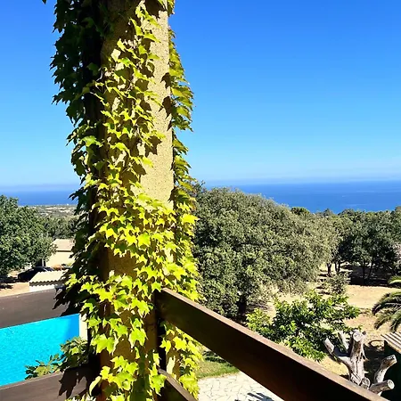 Campuleccia * Lumio (Corsica)