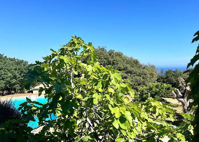 Campuleccia * Lumio (Corsica)